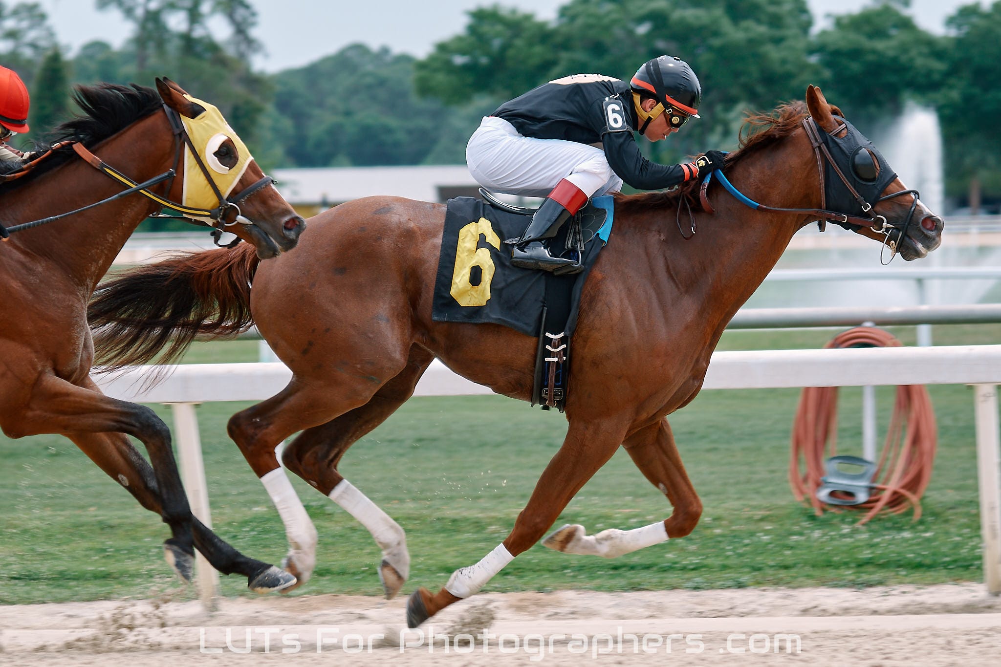 LutsForPhotographersDSC_1548 LutsForPhotographersDSC_1548